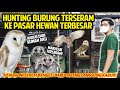 HUNTING BURUNG TERSERAM KE PASAR HEWAN TERBESAR DI BANDUNG! BARU SAMPAI RUMAH LANGSUNG KABUR!