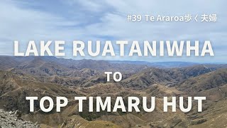 【Te Araroa】Lake Ruataniwha to Top Timaru Hut｜day127-129｜Ohau Lodgeでディナーを楽しむ・Melina Ridgeを通る