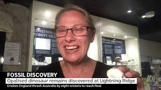 Opalised dinosaur remains discovered at Lightening Ridge - ABC News At Noon