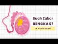 Kanker Testis - 5 Kelompok Orang yang Berisiko | dr. Vania Utami