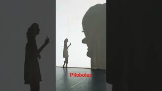 Microdose Pilobolus from Shadowland