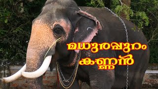 മധുരപ്പുറം കണ്ണൻ  Madhurappuram Kannan|മധുരപ്പുറം കണ്ണൻ|aanatthaara|ആനത്താര