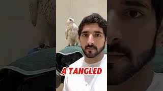 Fazza poems in English|fazza poems