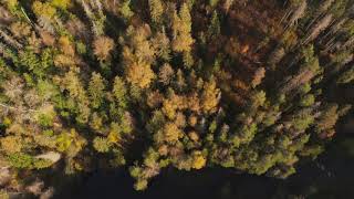 Autumn colors in Latvia (river Amata)