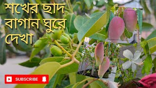 শখের ছাদ বাগান ঘুরে দেখা || অবাক করার মতো ছাদ বাগানে  আশ্চর্যজনক সব গাছ || Dhaka roof top gardening