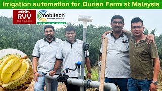 Irrigation automation for #durian farm at #malaysia by #mobitech