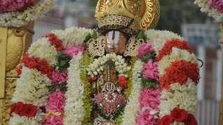 Thirumazhisai Azhwar Aadi Magam Maasa Thirunakshatram Purappadu | 06.08.2024