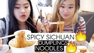 Mukbang | Sichuan | Spicy Noodles | Dumplings