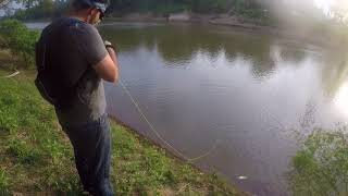 Nick hits a nice Asian carp with Longnose gar approaching the bank