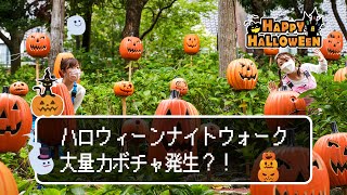 【ハウステンボス　ユーチューブ課】光り輝くハロウィーンナイトを大満喫！