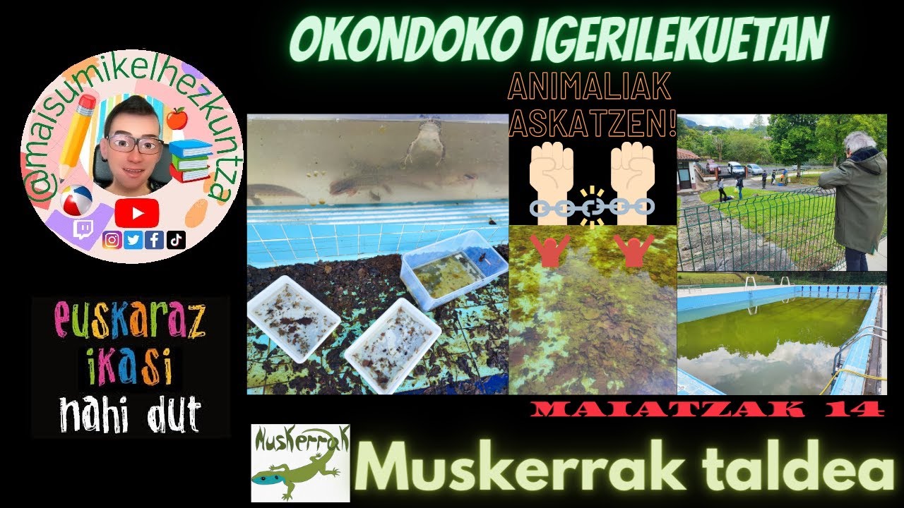 Igerilekuetako Animaliak Askatzea Lortuta🦎🌊🌍 Natur-Gizarte-Zientziak ...