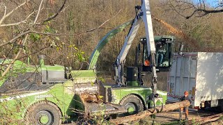 Mise en copeaux de bois à la ferme