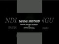 NDINE SHUNGU - TINASHE MURIGO ft EDWIN MTUDZA