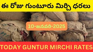 #10-01-25 TODAY GUNTUR MIRCHI PRICE ఈరోజు గుంటూరు మిర్చి ధరలు #subscribe #chilli #trending