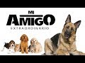 Mi Amigo Extraordinario Teaser - M31 Medios