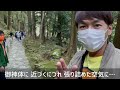 【和歌山県】【ご本殿】世界遺産の熊野古道を通っていく「熊野那智大社」