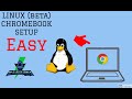 How To Install Linux (beta) On Chromebooks 2021