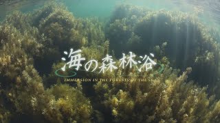 『海の森林浴 フォレスト・イン・ブルー』トレーラー・OP ver.