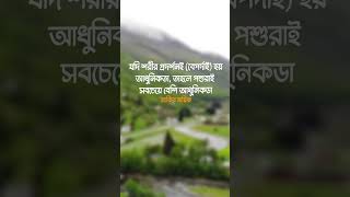 যদি শরীর প্রদর্শনই বেপর্দাই হয় আধুনিকতা, তাহলে পশুরাই সবচেয়ে বেশি 😢#Shorts #Viral