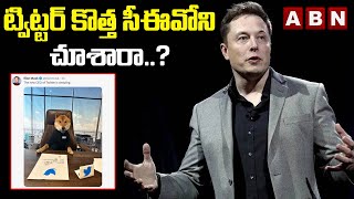 ట్విట్టర్‌ కొత్త సీఈవోని చూశారా..? || Elon Musk 'Hires' His Dog As New Twitter CEO || ABN Digital