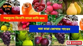 সল্পমুল্যে বিদেশি বারো মাসি ফল ধরা চারা কোথায় পাবেন।