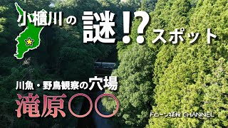 【千葉の秘境】小櫃川の謎？スポット～川魚・野鳥観察の穴場～【ドローン探検CHANNEL】