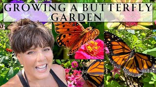 Morning Stroll in a Refreshing Rain-Soaked Butterfly Garden