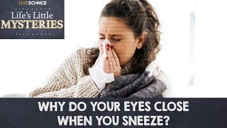 Why Do My Eyes Close When I Sneeze?