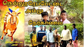 நெல்லூர்பேட்டை அம்மு | நேர்காணல் | Home Videos | Running machine