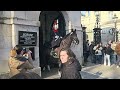 tourists ran from nervous horse at horse guards and lived to tell the tale