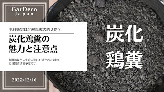 【肥料効果は発酵鶏糞の約２倍？】炭化鶏糞の魅力と注意点