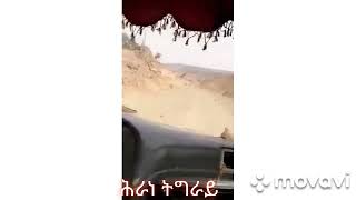 Herane Tigray #ሕራነ ትግራይ  ሰራዊት ኤርትራ  መሬት ትግራይ ከመይ ገይሩ ከም ዘዕነዋ ካብ ባዕሎም ቪድዮ 👇👇