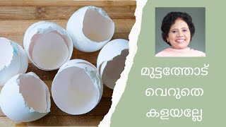 മുട്ടത്തോട് ഇങ്ങനെ ഉപയോഗിച്ചാൽ Skin നും മുടിക്കും വരദാനം | Dr Lizy K Vaidian