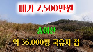 [1318][임야매매] 약 36,000평 정도의 국유지가 접한 임야매매