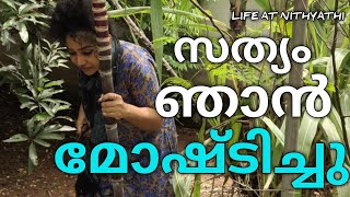 എന്നോട് ക്ഷമിക്കു അമ്മെ ഞാൻ മോഷ്ടിച്ചു  | SHALEENA TEACHER VLOG-24 | LIFE AT NITHYATHI