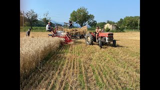 Moissonneuse Lieuse #farming #paysan #tradition #agriculture #machine #farm #photography