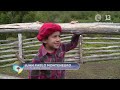 niño le cuenta chiste a pancho saavedra