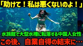 【海外の反応】「キャアアアア！助けて！」水族館で大型水槽に転落する中国人女性...この後、自業自得の結末を迎える