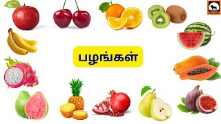 Fruits Name | பழங்களின் பெயர்கள் | Learn Fruits name in Tamil and English  #Fruit @simmavishnub