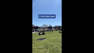 5 Green Spots On Campus