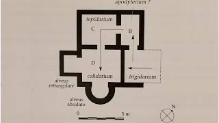 Roselle Archeologica - 1