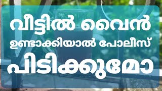 വീട്ടിൽ വൈൻ ഉണ്ടാക്കാം കുറച്ചു കാര്യങ്ങൾ ശ്രദ്ധിച്ചാൽ മതി