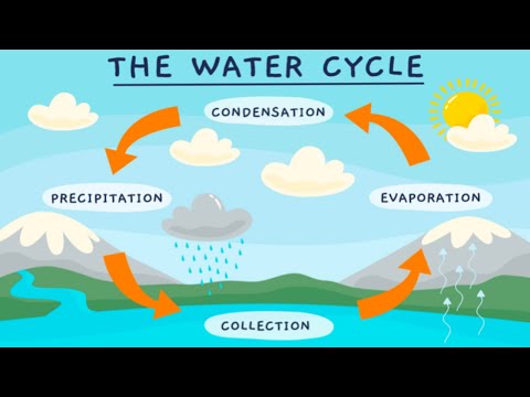 What are the 10 processes of the water cycle?