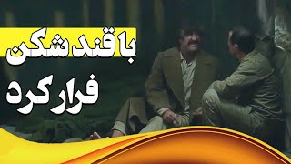 میخواد با قند شکن زمین رو بکنه - سریال زیرخاکی 3