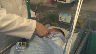HealthWatch: Brain Development In Baby's 1st 1000 Days