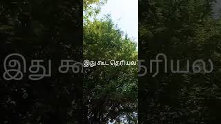 இது கூட தெரியல # shorts by Dr Amutharamalingam