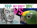 훼방꾼별이 / 아마존앵무새가 아빠의 취미생활을 집요하게 방해합니다/오징어게임덕수그림 VS 훼방꾼별이~ 둘다 힘들다~~