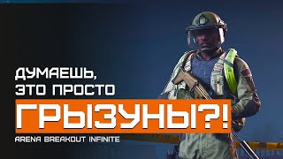 В подвале оказались не мыши! Желтая Ферма | Arena Breakout Infinite | Шутер с эвакуацией | ЛЕТСПЛЕЙ