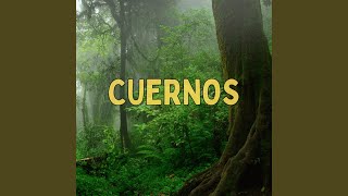 Cuernos