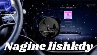 nagine lishk de dekhe slowed and reverb||nagine lishk de dekhe||parindey song slowed reverb